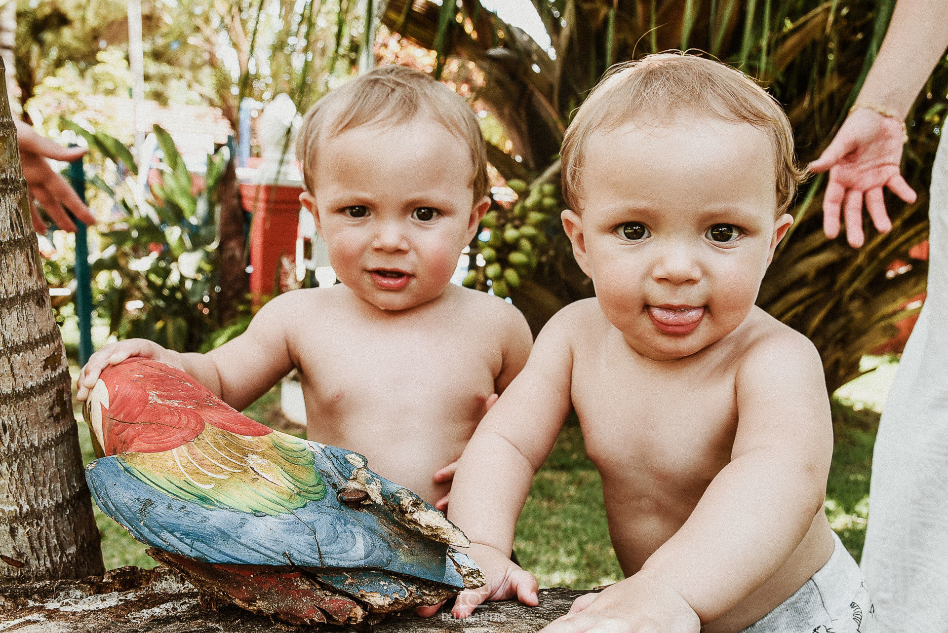 Foto Batizado dos Gêmeos Foto Batizado dos Gêmeos - Imagem 14