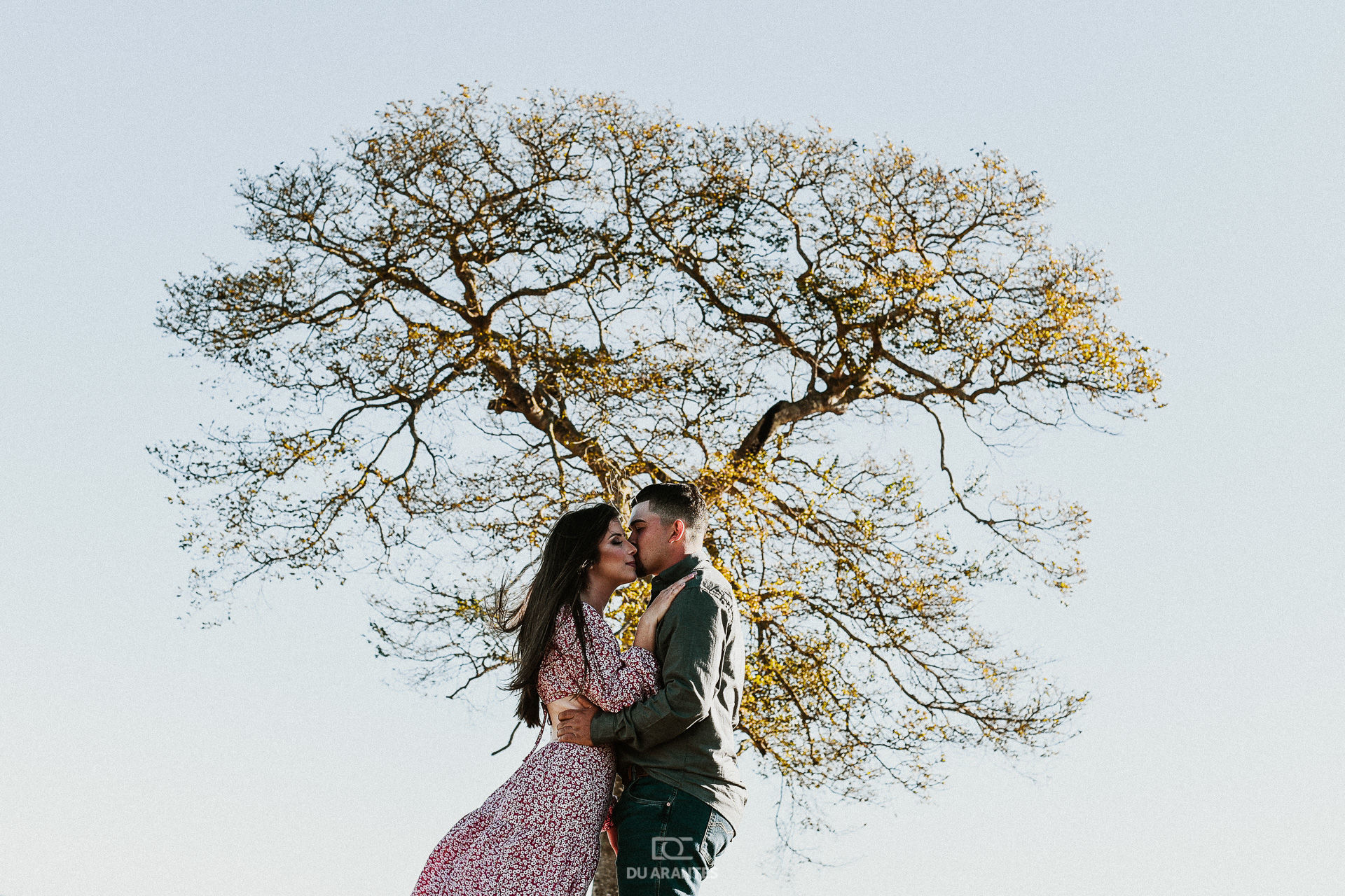 Foto Ensaio de fotos Pre Wedding no campo de trigo no por do sol Foto Ensaio de fotos Pre Wedding no campo de trigo no por do sol - Imagem 7