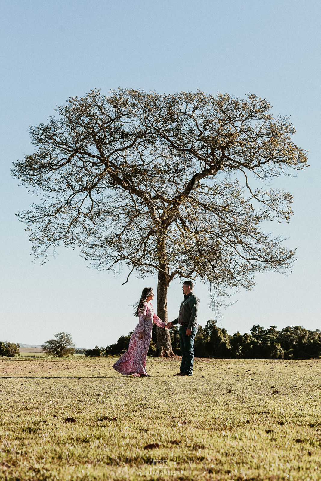 Foto Ensaio de fotos Pre Wedding no campo de trigo no por do sol Foto Ensaio de fotos Pre Wedding no campo de trigo no por do sol - Imagem 9